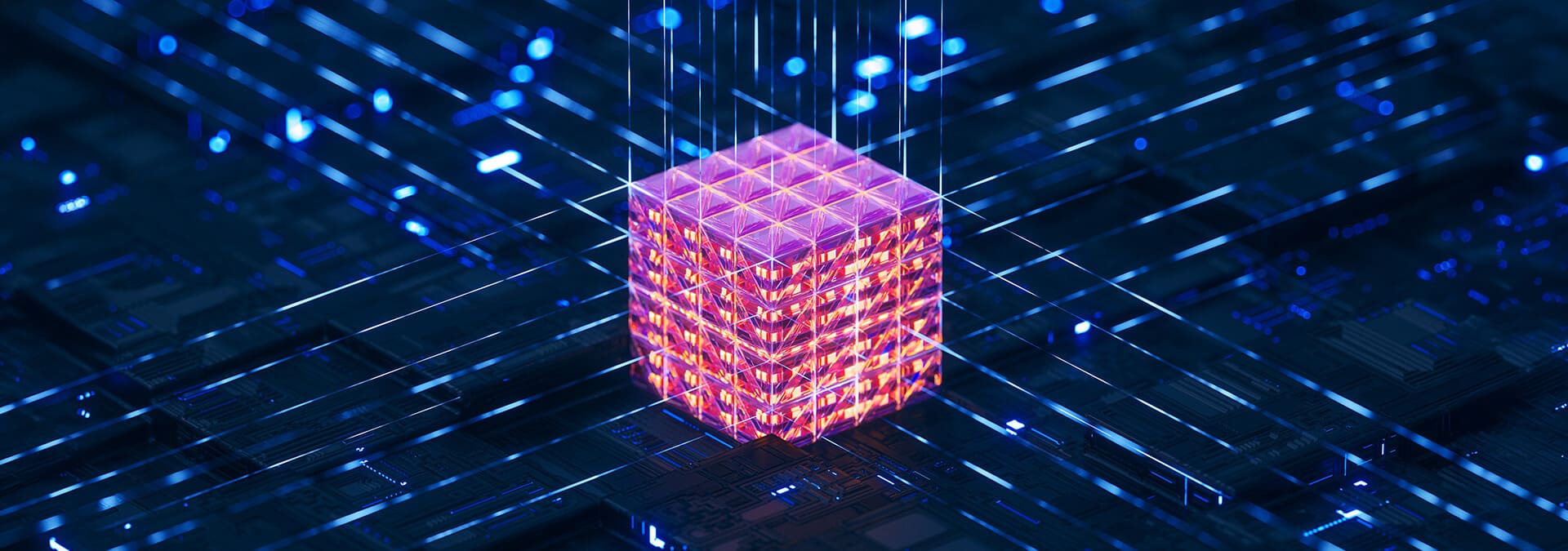 Head banner CSD CIOs competitive edge